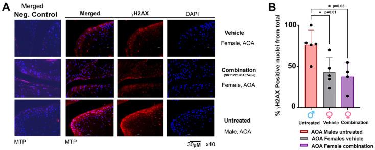 https://cdn.ncbi.nlm.nih.gov/pmc/blobs/016c/10813022/88652828bd5e/biomolecules-14-00081-g006.jpg