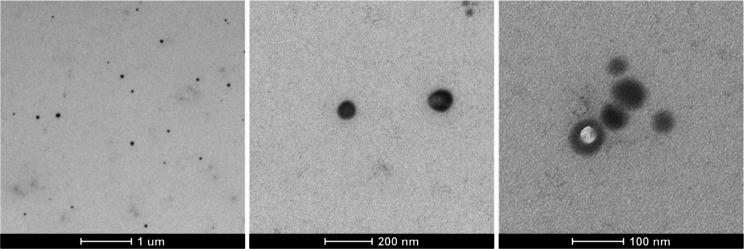 https://cdn.ncbi.nlm.nih.gov/pmc/blobs/016c/11606190/4ea116d283b5/12896_2024_915_Fig2_HTML.jpg