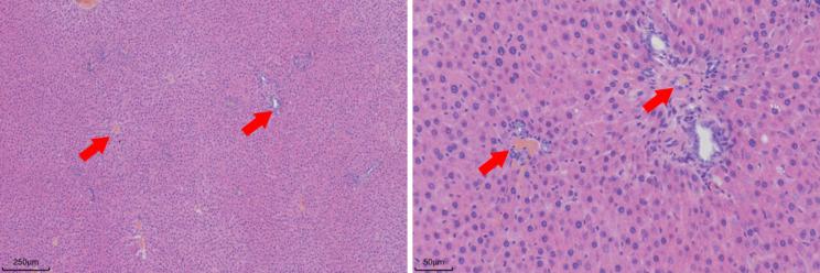 https://cdn.ncbi.nlm.nih.gov/pmc/blobs/016c/11606190/f42ab30ed3ff/12896_2024_915_Fig3_HTML.jpg