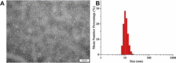 https://cdn.ncbi.nlm.nih.gov/pmc/blobs/016d/8643199/e0bb628297ae/IJN-16-7847-g0001.jpg