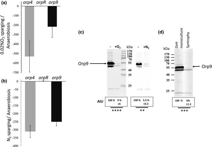 https://cdn.ncbi.nlm.nih.gov/pmc/blobs/016e/8359166/6ef129951185/MMI-116-231-g001.jpg