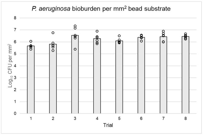 https://cdn.ncbi.nlm.nih.gov/pmc/blobs/016f/11356137/b353937c9f2f/microorganisms-12-01588-g005.jpg