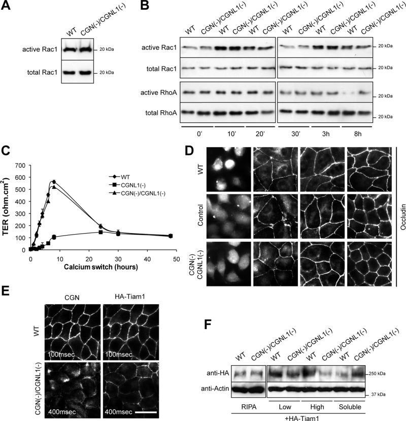 https://cdn.ncbi.nlm.nih.gov/pmc/blobs/0171/4072573/567d512398f8/1995fig1.jpg
