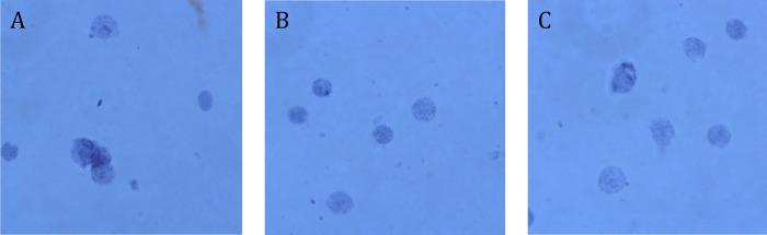 https://cdn.ncbi.nlm.nih.gov/pmc/blobs/0172/10484441/58d52ffc7c4a/pone.0285020.g001.jpg