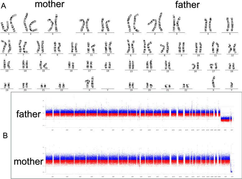 https://cdn.ncbi.nlm.nih.gov/pmc/blobs/0174/11667835/1a2108892ee7/12920_2024_2059_Fig2_HTML.jpg