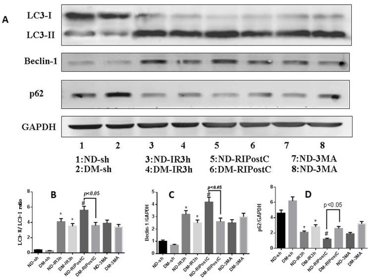 https://cdn.ncbi.nlm.nih.gov/pmc/blobs/0174/3900658/c2e59b70f248/pone.0086838.g008.jpg