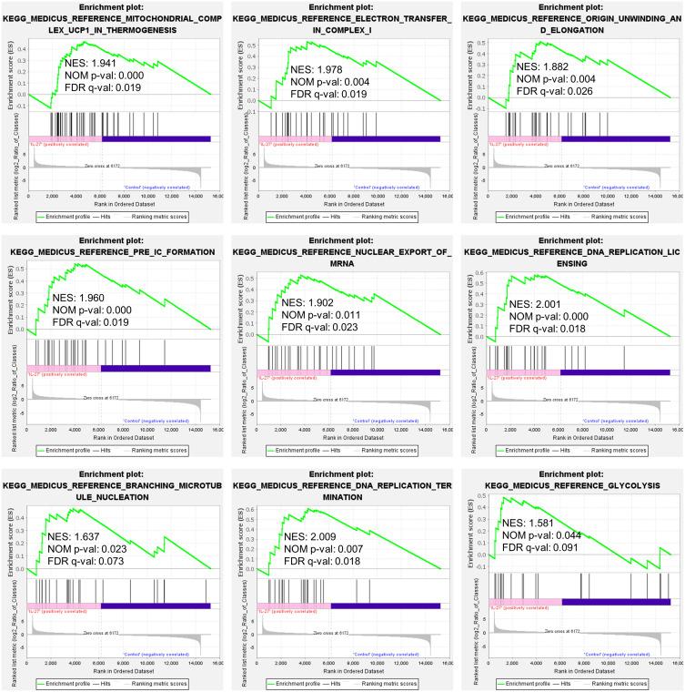 https://cdn.ncbi.nlm.nih.gov/pmc/blobs/0177/11545624/056aeaa56f5e/JIR-17-8165-g0005.jpg