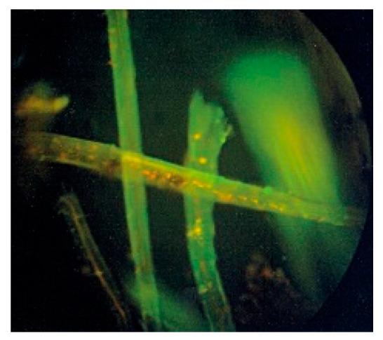 https://cdn.ncbi.nlm.nih.gov/pmc/blobs/0178/8539042/44b569fd662c/materials-14-06031-g003.jpg