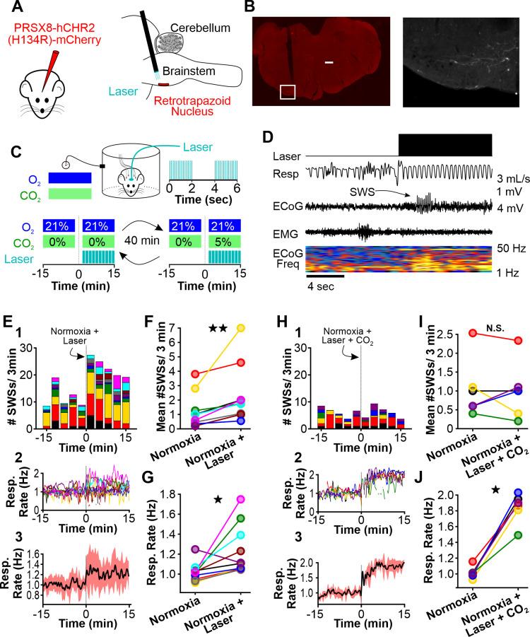 https://cdn.ncbi.nlm.nih.gov/pmc/blobs/0178/8860449/5cc8ad4dacf7/elife-72898-fig5.jpg