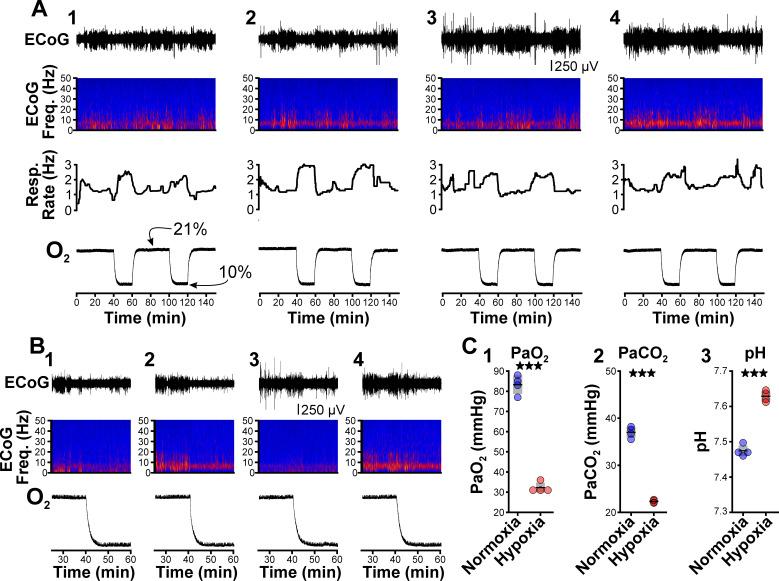 https://cdn.ncbi.nlm.nih.gov/pmc/blobs/0178/8860449/735f138f5808/elife-72898-fig2.jpg