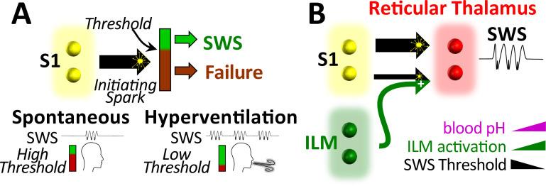 https://cdn.ncbi.nlm.nih.gov/pmc/blobs/0178/8860449/be17a8eade0f/elife-72898-fig7.jpg