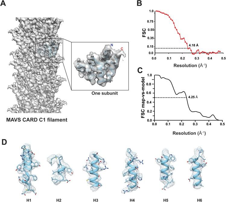 https://cdn.ncbi.nlm.nih.gov/pmc/blobs/0179/4526786/38562534dd82/elife07546f002.jpg