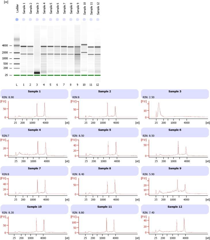 https://cdn.ncbi.nlm.nih.gov/pmc/blobs/0179/4701130/7ac9ce5f1286/pone.0145100.g002.jpg