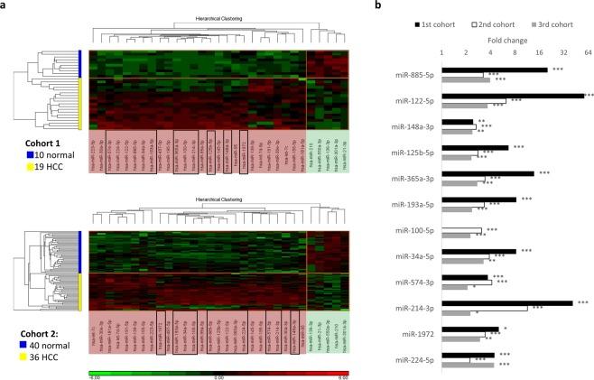 https://cdn.ncbi.nlm.nih.gov/pmc/blobs/0179/6639394/d7fd1f219560/41598_2019_46872_Fig1_HTML.jpg