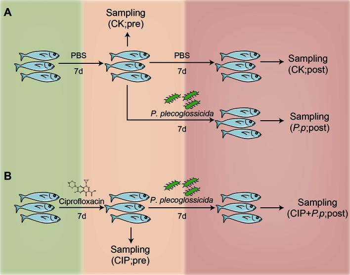 https://cdn.ncbi.nlm.nih.gov/pmc/blobs/0179/9336453/743f5ab495e4/zr-43-4-648-1.jpg