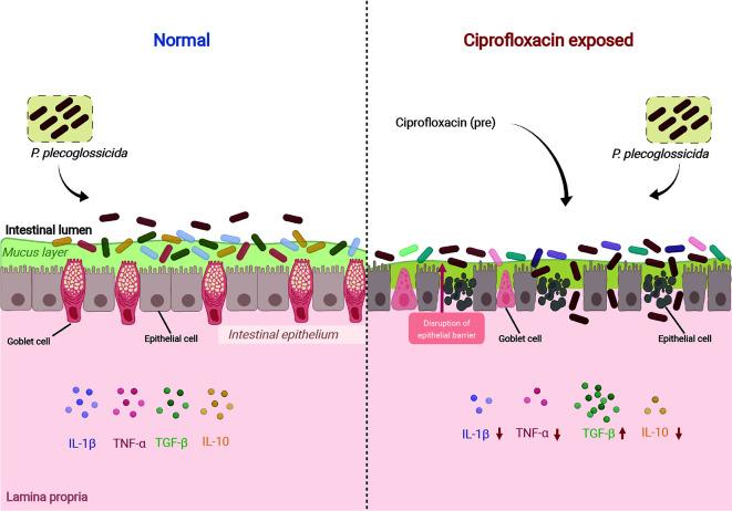 https://cdn.ncbi.nlm.nih.gov/pmc/blobs/0179/9336453/76142c24f63b/zr-43-4-648-10.jpg