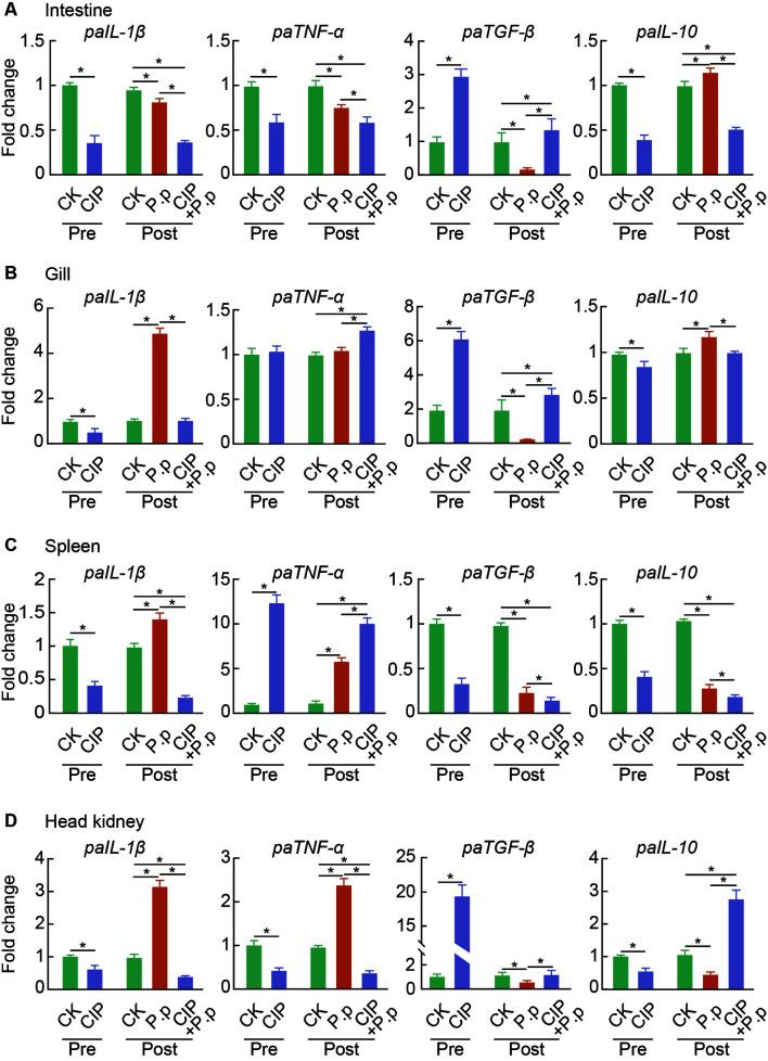 https://cdn.ncbi.nlm.nih.gov/pmc/blobs/0179/9336453/b83fdc6b3b2a/zr-43-4-648-9.jpg