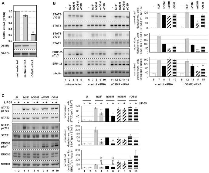 https://cdn.ncbi.nlm.nih.gov/pmc/blobs/017a/3425591/485a9eb68460/pone.0043155.g003.jpg