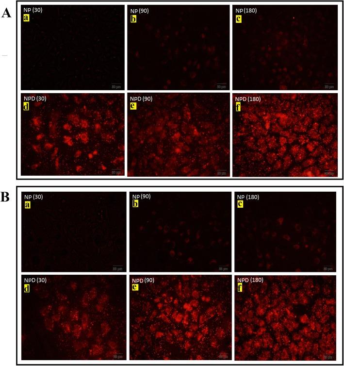 https://cdn.ncbi.nlm.nih.gov/pmc/blobs/017a/7080937/41f3186c3b5d/11671_2020_3295_Fig5_HTML.jpg