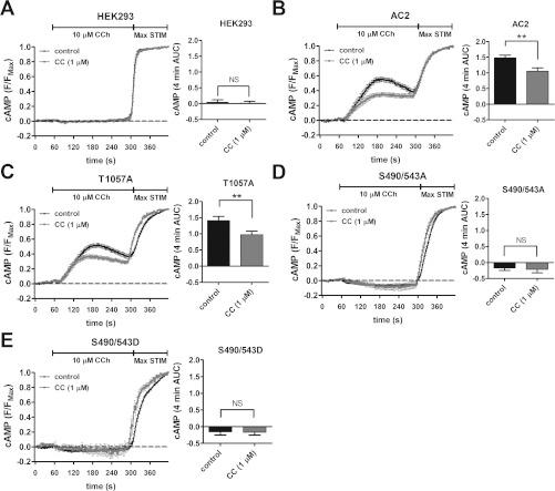 https://cdn.ncbi.nlm.nih.gov/pmc/blobs/017c/3465989/067155a3bbb0/bic413i007.jpg
