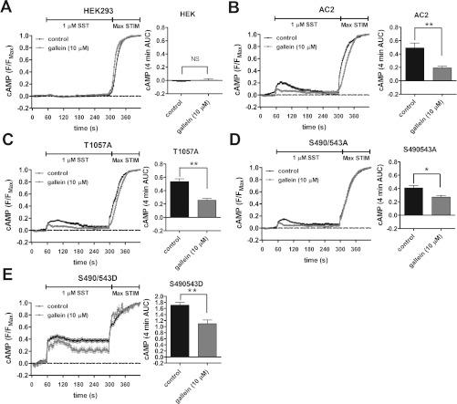 https://cdn.ncbi.nlm.nih.gov/pmc/blobs/017c/3465989/256ee908210f/bic413i009.jpg