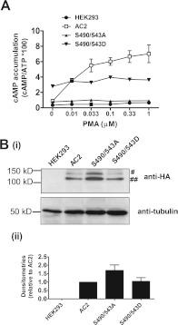https://cdn.ncbi.nlm.nih.gov/pmc/blobs/017c/3465989/6dea435a8220/bic413i002.jpg