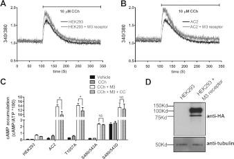 https://cdn.ncbi.nlm.nih.gov/pmc/blobs/017c/3465989/8cb10e5c35b1/bic413i006.jpg