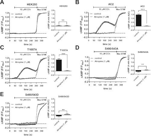 https://cdn.ncbi.nlm.nih.gov/pmc/blobs/017c/3465989/ccbf8abe7312/bic413i005.jpg