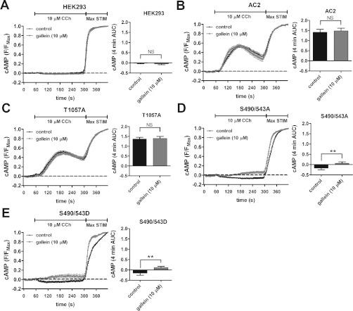 https://cdn.ncbi.nlm.nih.gov/pmc/blobs/017c/3465989/d8d9d7f64cdd/bic413i008.jpg