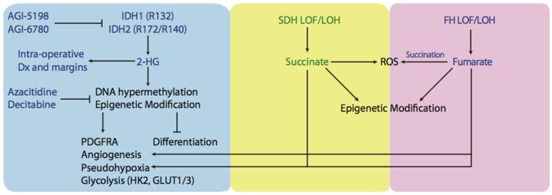 https://cdn.ncbi.nlm.nih.gov/pmc/blobs/017e/5789326/1ff44c810232/antioxidants-07-00016-g002.jpg