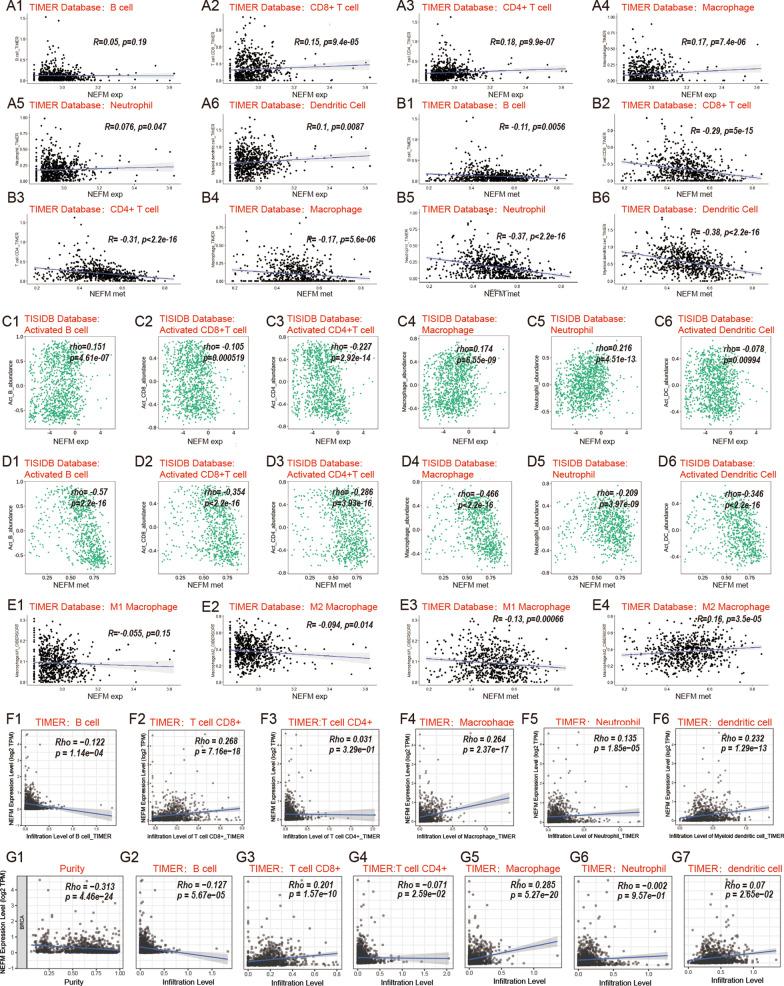 https://cdn.ncbi.nlm.nih.gov/pmc/blobs/017f/8130356/319ff6de8fd3/13148_2021_1096_Fig5_HTML.jpg