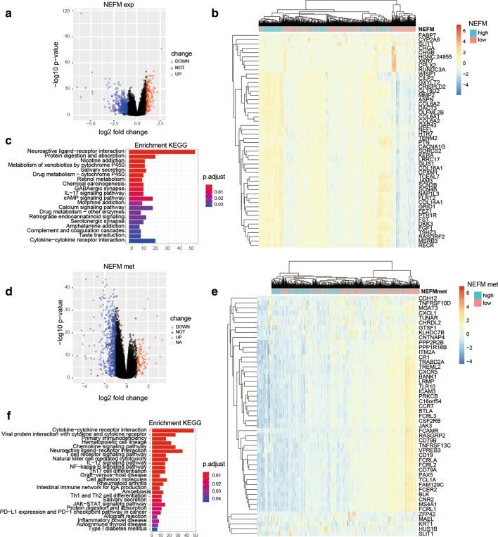 https://cdn.ncbi.nlm.nih.gov/pmc/blobs/017f/8130356/6ccefeeae8f6/13148_2021_1096_Fig4_HTML.jpg