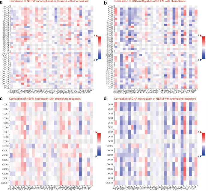 https://cdn.ncbi.nlm.nih.gov/pmc/blobs/017f/8130356/883af61efa5b/13148_2021_1096_Fig6_HTML.jpg