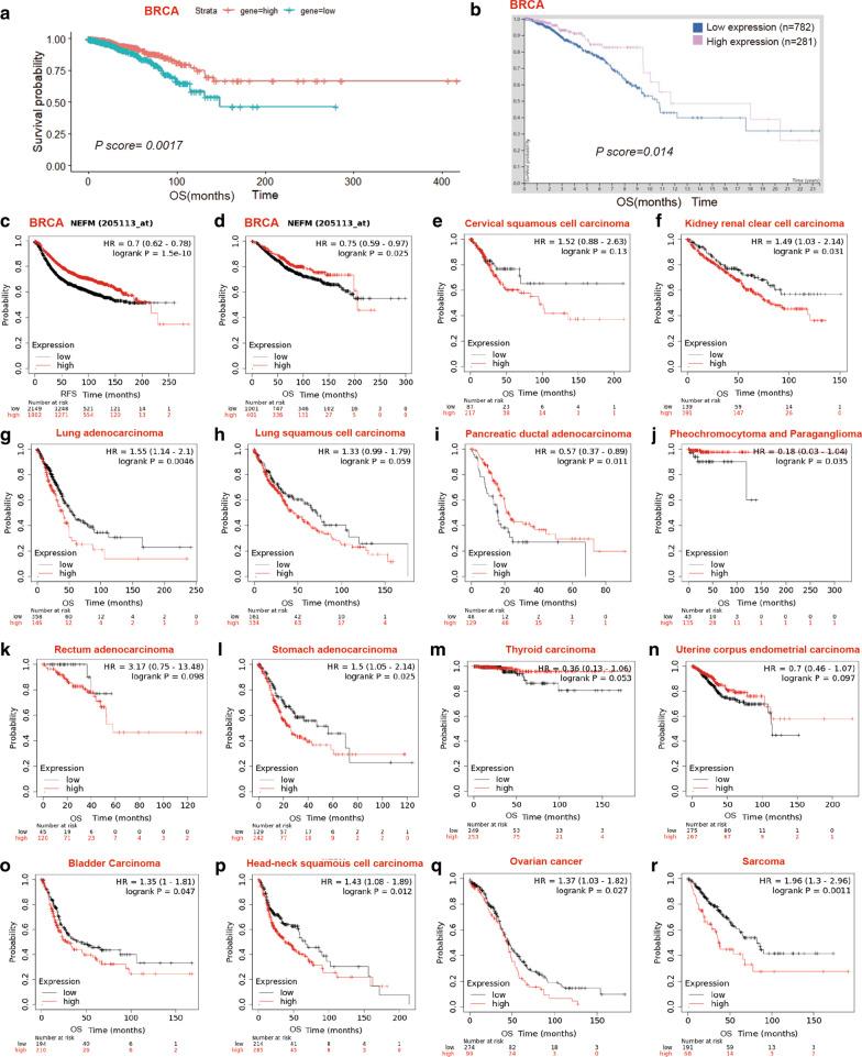 https://cdn.ncbi.nlm.nih.gov/pmc/blobs/017f/8130356/d7d47377a411/13148_2021_1096_Fig2_HTML.jpg