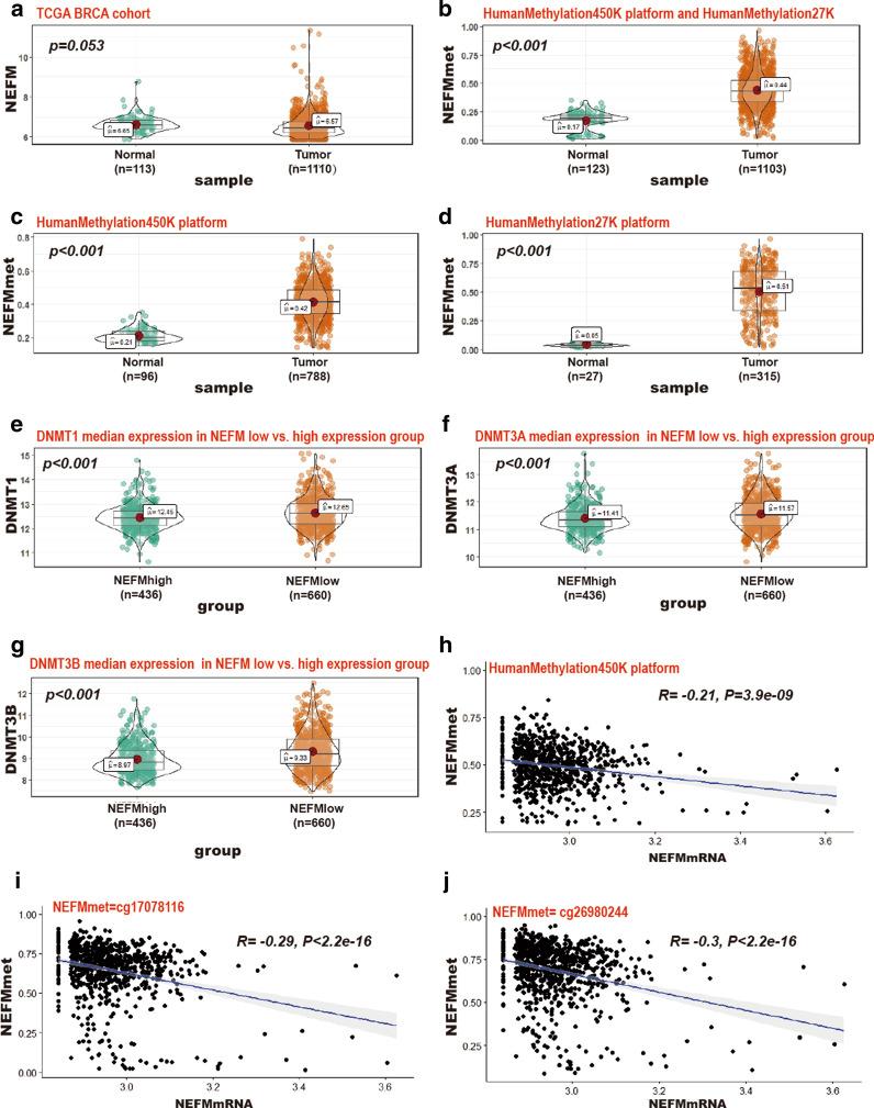 https://cdn.ncbi.nlm.nih.gov/pmc/blobs/017f/8130356/dce0e4a60cd1/13148_2021_1096_Fig3_HTML.jpg