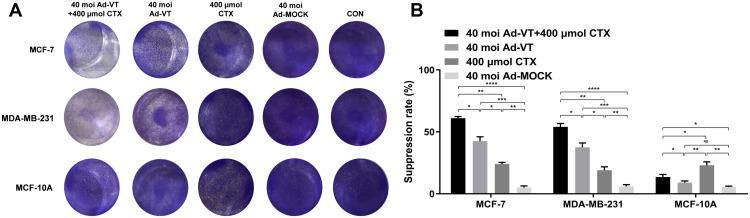https://cdn.ncbi.nlm.nih.gov/pmc/blobs/017f/9484773/334330c6b475/CMAR-14-2749-g0002.jpg