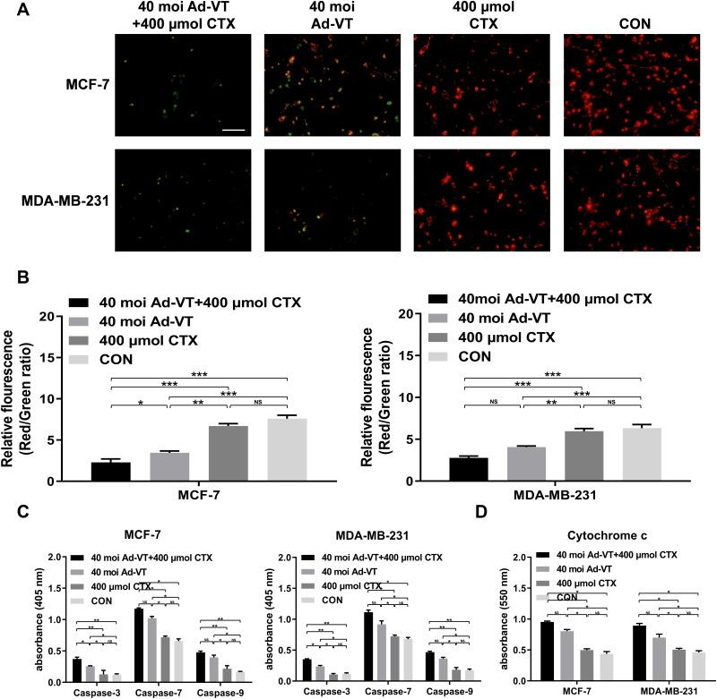 https://cdn.ncbi.nlm.nih.gov/pmc/blobs/017f/9484773/e1058199d6ce/CMAR-14-2749-g0004.jpg