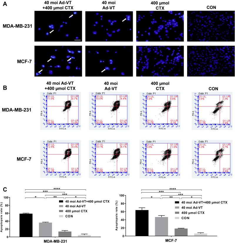 https://cdn.ncbi.nlm.nih.gov/pmc/blobs/017f/9484773/e46f8579e9ed/CMAR-14-2749-g0003.jpg