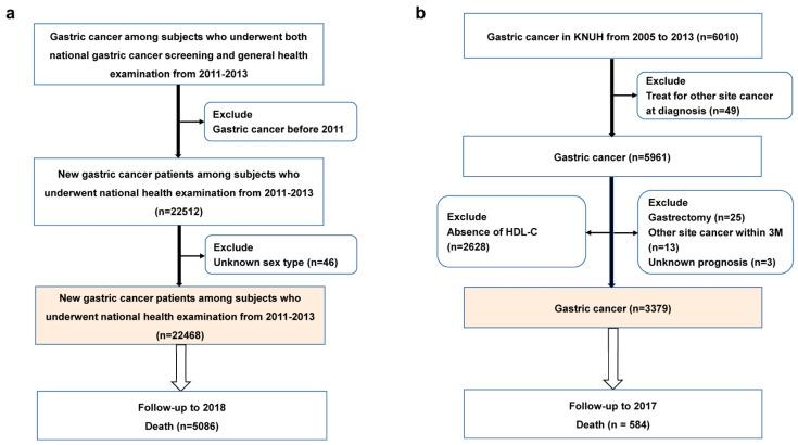https://cdn.ncbi.nlm.nih.gov/pmc/blobs/0180/10177473/97e450e39e44/cancers-15-02463-g001.jpg