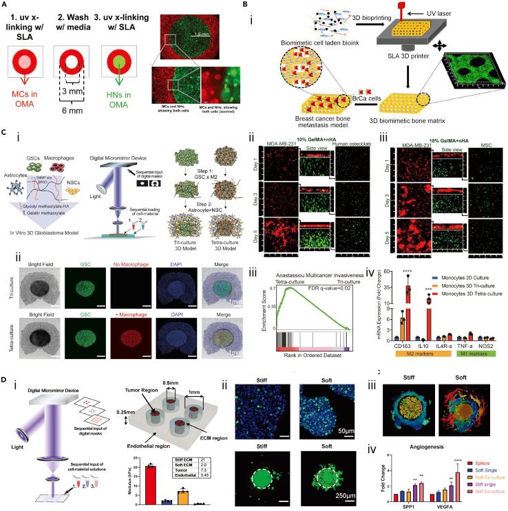 https://cdn.ncbi.nlm.nih.gov/pmc/blobs/0181/9906021/0f6db404265b/gr5.jpg