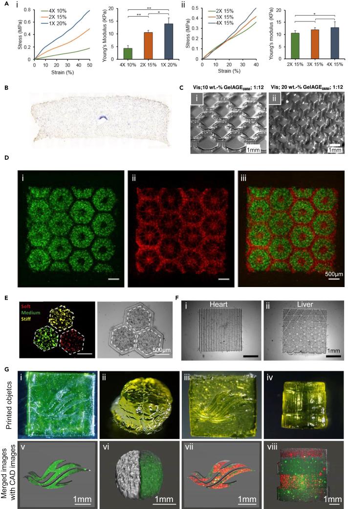 https://cdn.ncbi.nlm.nih.gov/pmc/blobs/0181/9906021/7c52f0aa82e7/gr3.jpg