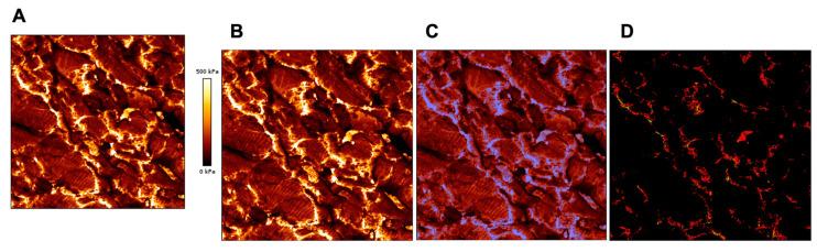 https://cdn.ncbi.nlm.nih.gov/pmc/blobs/0184/8998711/6ec549d20c54/ijms-23-03700-g008.jpg