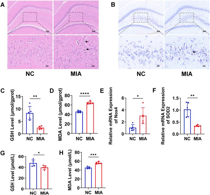 https://cdn.ncbi.nlm.nih.gov/pmc/blobs/0186/10875581/9a732c701f55/gr3.jpg