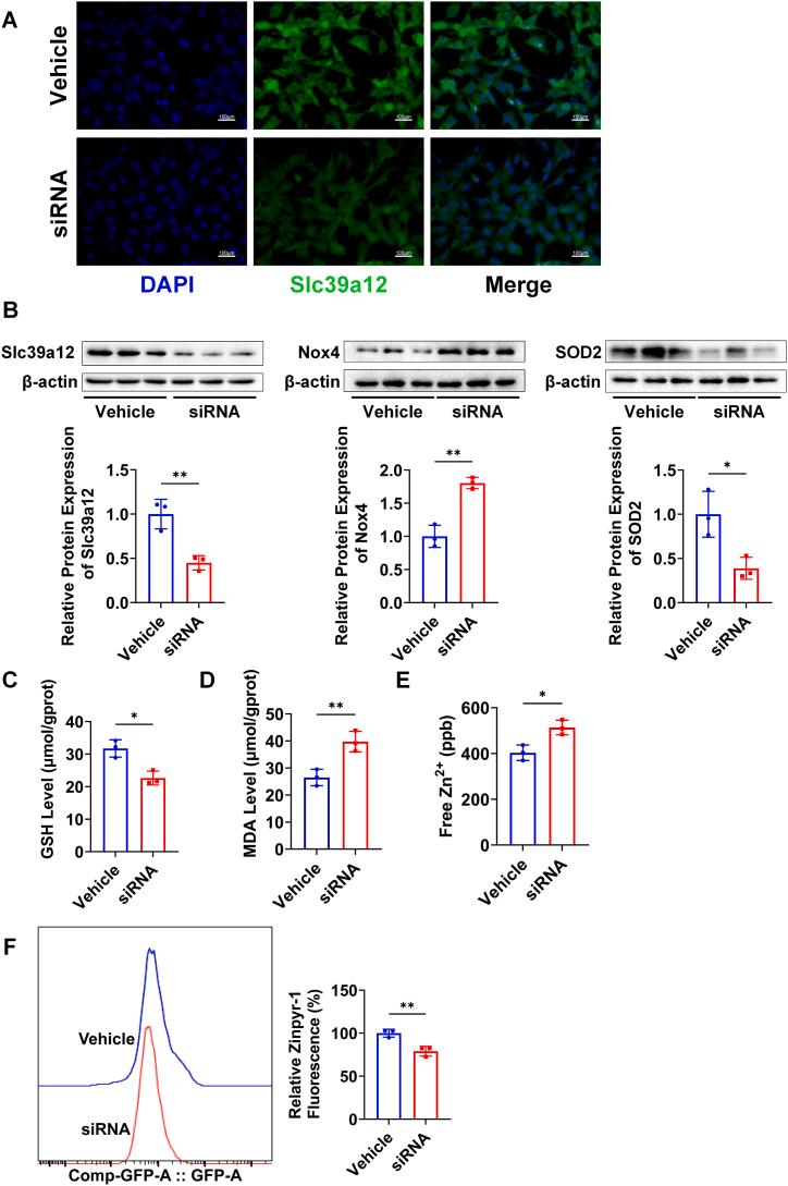 https://cdn.ncbi.nlm.nih.gov/pmc/blobs/0186/10875581/b4b95c886090/gr6.jpg