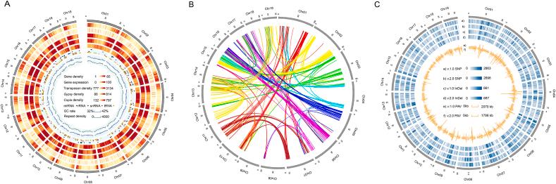 https://cdn.ncbi.nlm.nih.gov/pmc/blobs/0186/8343110/b7a990d67611/gr1.jpg