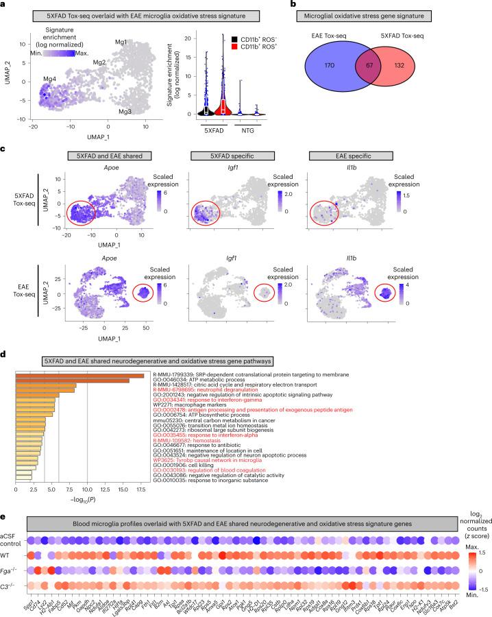 https://cdn.ncbi.nlm.nih.gov/pmc/blobs/0188/10307624/0e2d4730fdd5/41590_2023_1522_Fig8_HTML.jpg