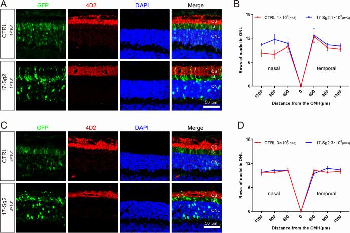 https://cdn.ncbi.nlm.nih.gov/pmc/blobs/0189/10279453/cf41a4c4c546/elife-84065-fig9-figsupp1.jpg