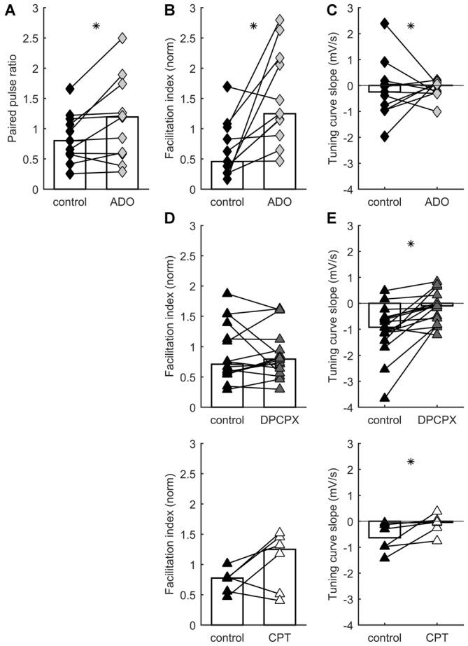 https://cdn.ncbi.nlm.nih.gov/pmc/blobs/018a/4763074/36827c8f511f/fncir-10-00009-g0002.jpg