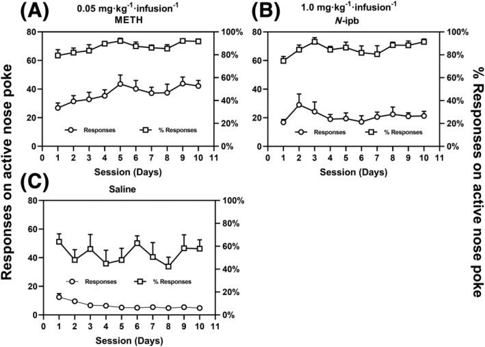 https://cdn.ncbi.nlm.nih.gov/pmc/blobs/018c/10898833/5302653f5e21/ADB-29-e13370-g001.jpg