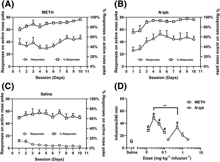 https://cdn.ncbi.nlm.nih.gov/pmc/blobs/018c/10898833/6663a7695b18/ADB-29-e13370-g002.jpg